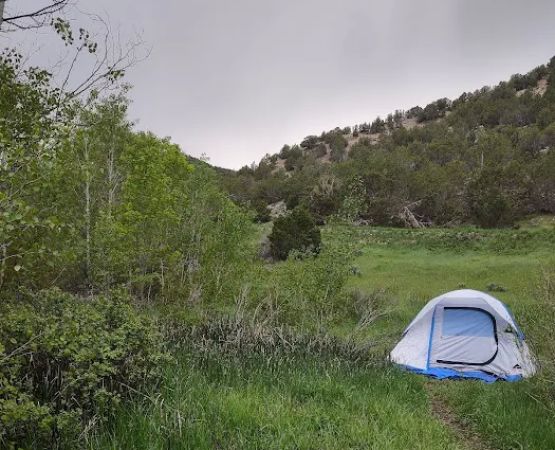 Cottonwood Campground
