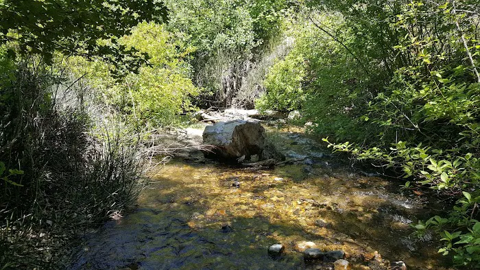 Cottonwood Campground 4