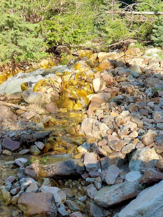 North Willow Campground 8