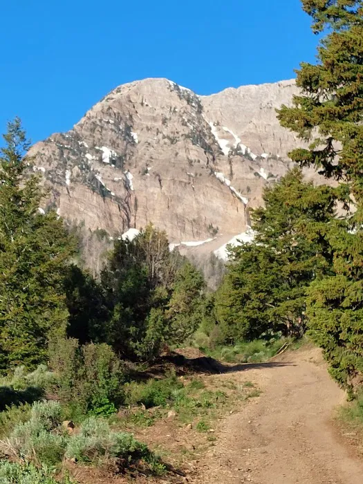 North Willow Campground 0