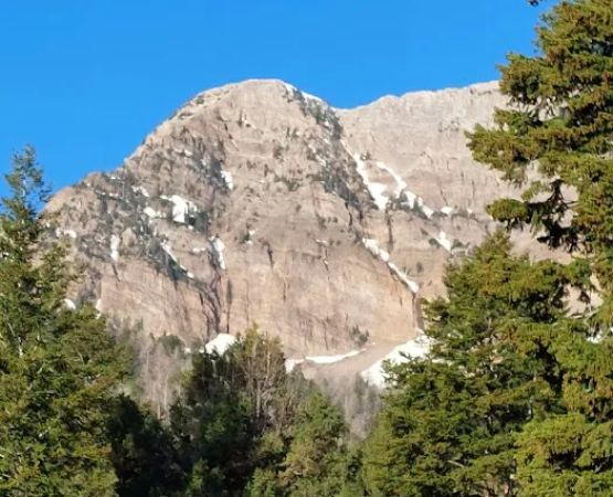 North Willow Campground