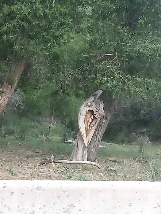 Ophir Canyon Educational Center 7