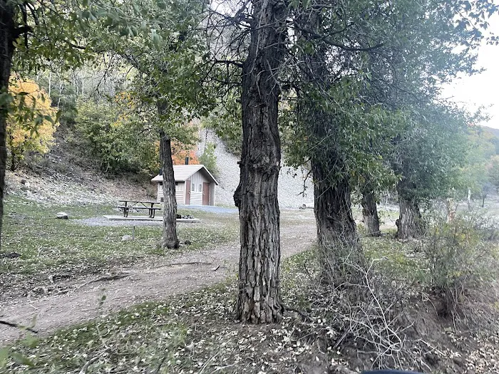 Ophir Campgrounds 1