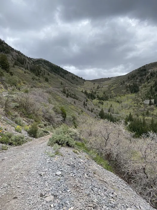 Ophir Campgrounds 8