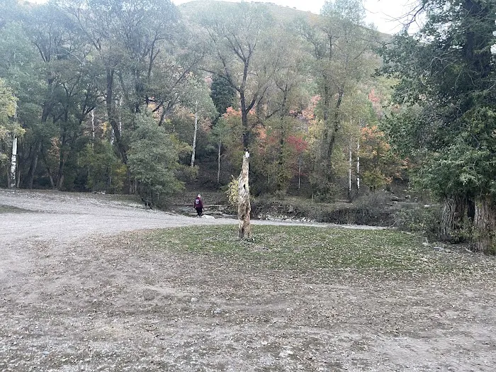 Ophir Campgrounds 0