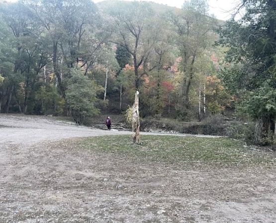 Ophir Campgrounds
