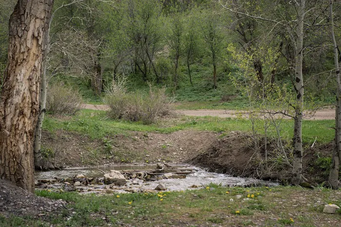Ophir Campgrounds 5