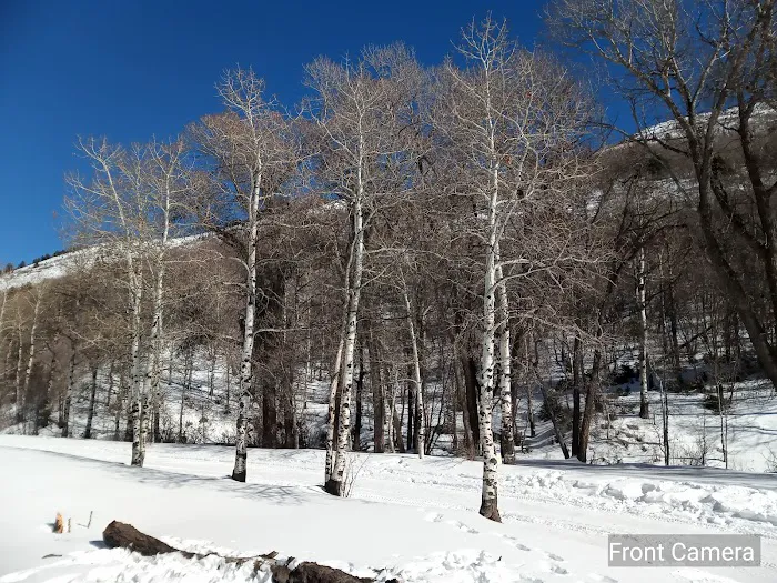 Ophir Campgrounds 4