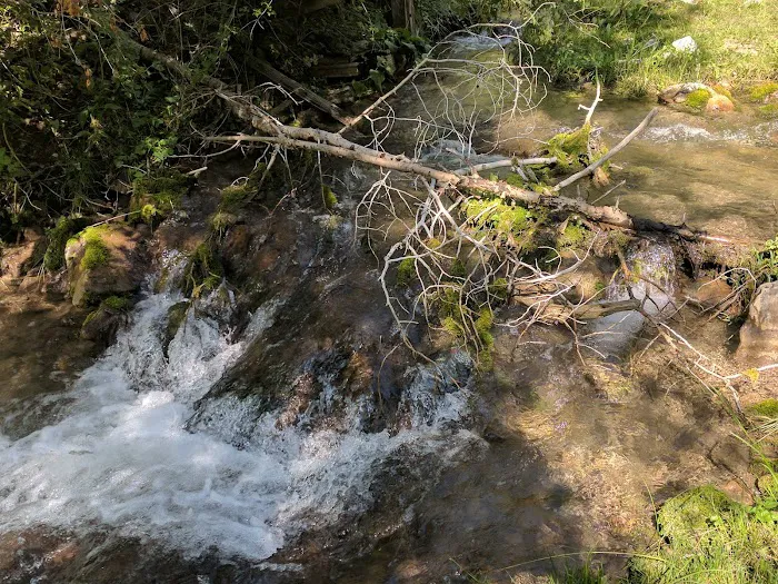 Ophir Campgrounds 3