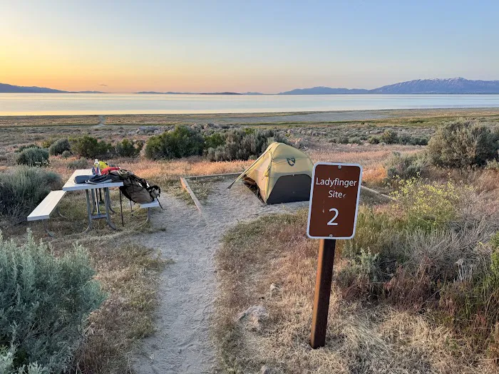 Ladyfinger Campground 4