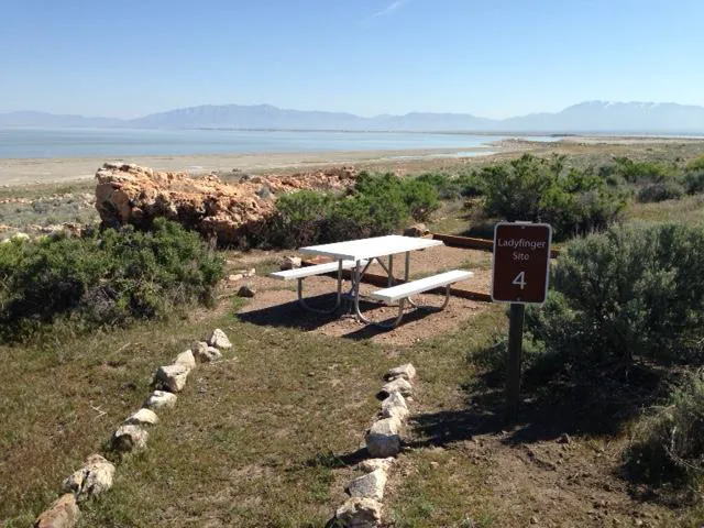 Ladyfinger Campground 3