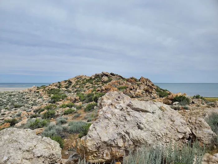 Ladyfinger Campground 0