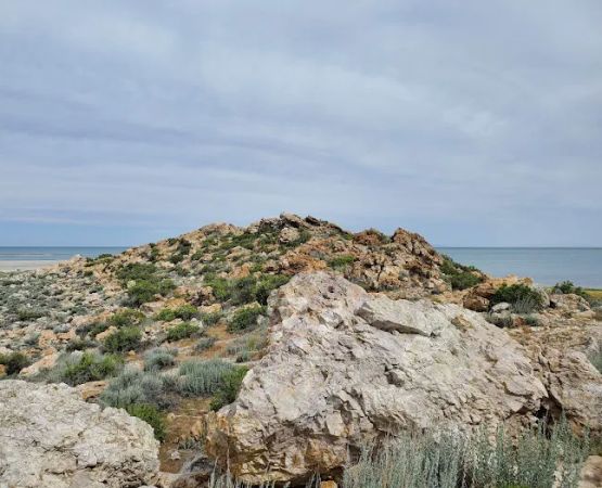 Ladyfinger Campground