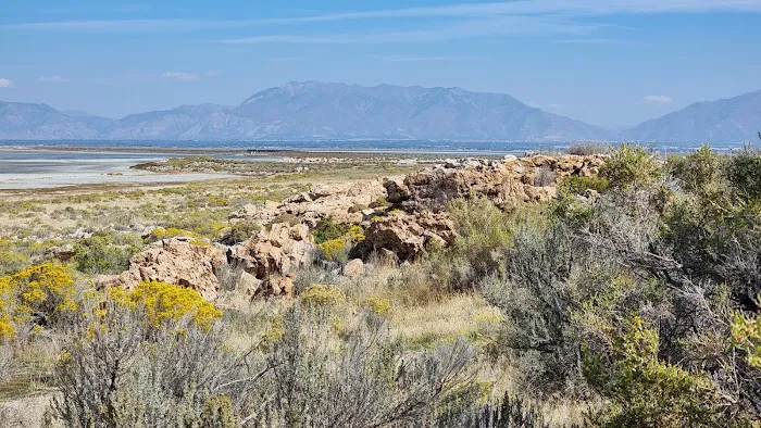 Ladyfinger Campground 7