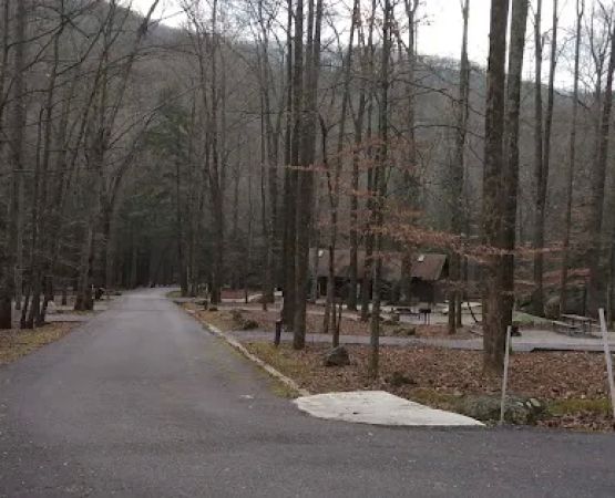 Flat Fork Group Campground