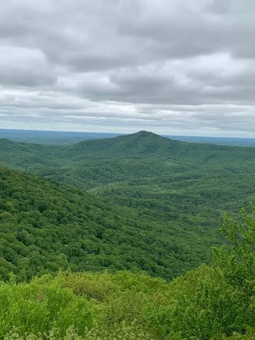 Gobey Mountain Getaway 5