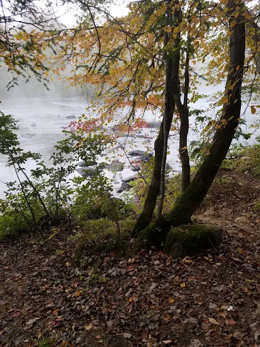 Rock Creek Campground 3