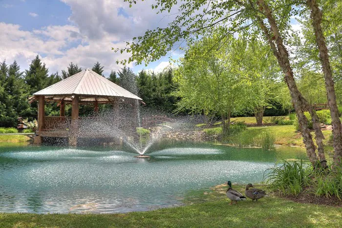 The Dell Motorcoach Resort 2