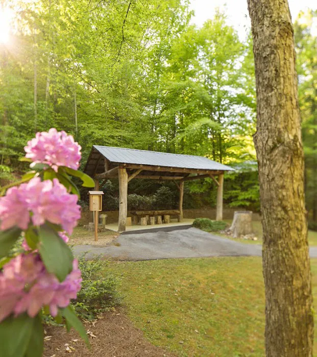 The Dell Motorcoach Resort 3