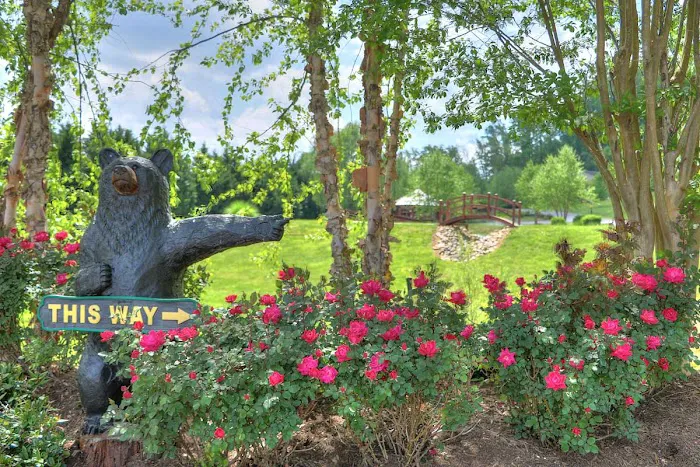 The Dell Motorcoach Resort 5