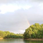The campsite at Hunkerdown Hollow