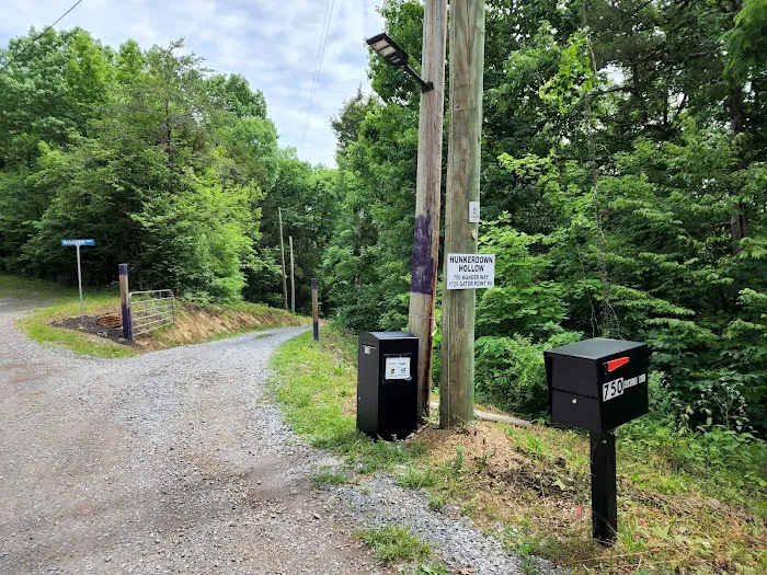 The campsite at Hunkerdown Hollow 4