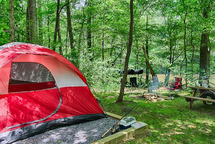 Pigeon River Campground 8