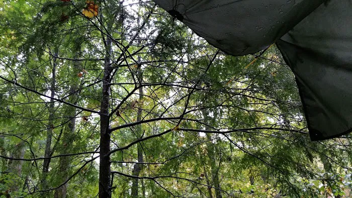 Backcountry Campsite #35 1
