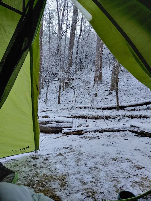 Backcountry Campsite #35 0