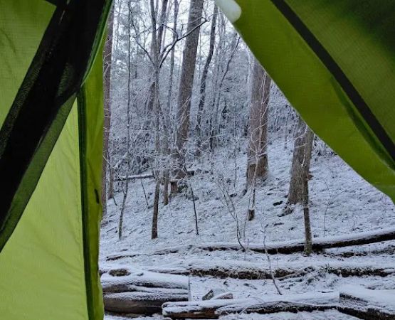 Backcountry Campsite #35