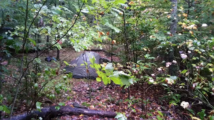 Backcountry Campsite #35 5
