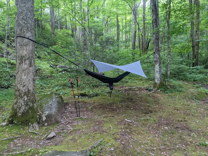 Backcountry Campsite #35 9