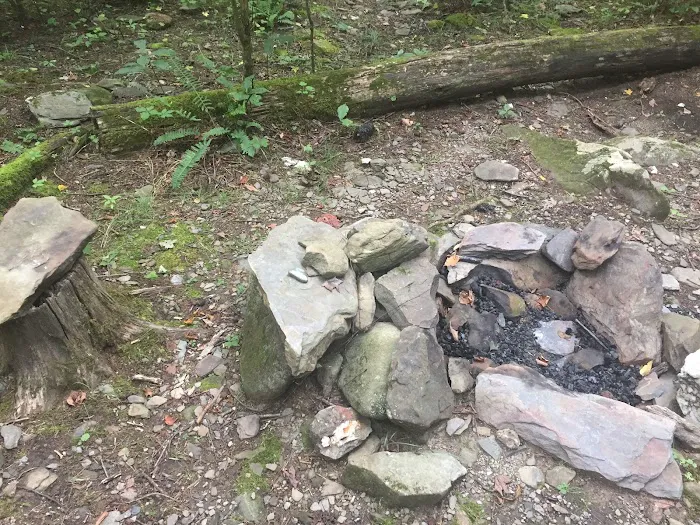 Backcountry Campsite #35 7