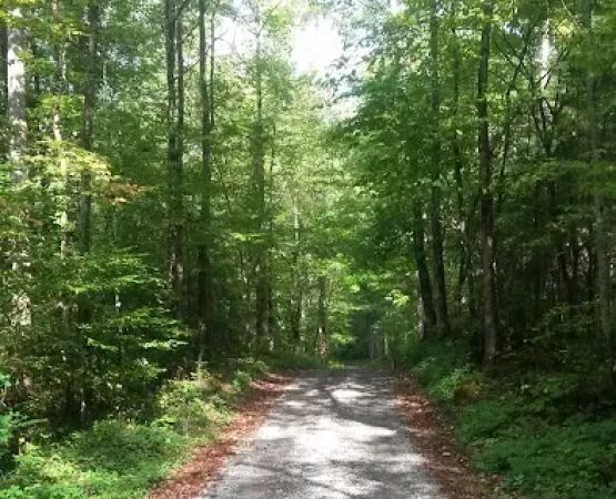 Big Rig Campground