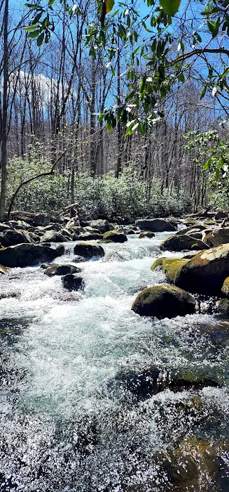 Porters Creek Trailhead Campground 1