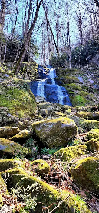 Porters Creek Trailhead Campground 2