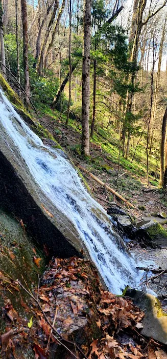 Porters Creek Trailhead Campground 3