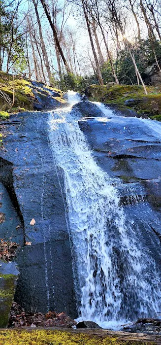 Porters Creek Trailhead Campground 4