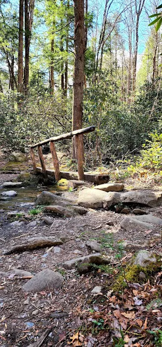 Porters Creek Trailhead Campground 8