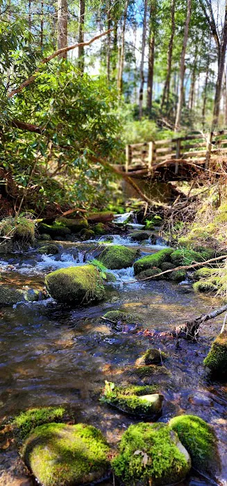 Porters Creek Trailhead Campground 0