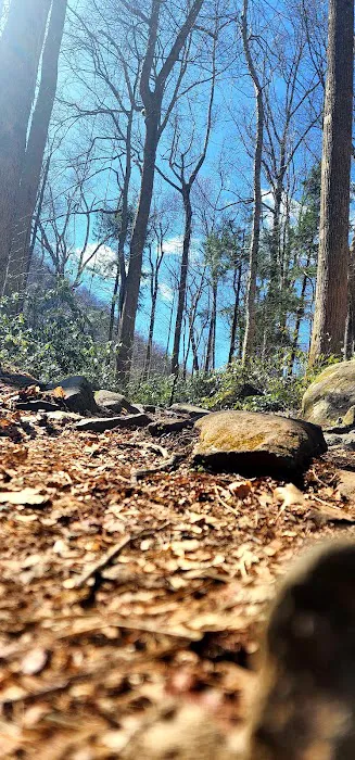 Porters Creek Trailhead Campground 7