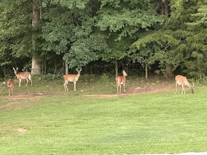 Near Lake Resort 0