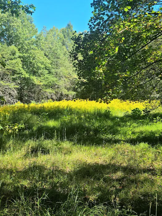 Indian Boundary Campground 9
