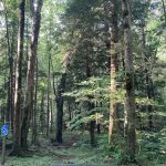 Club Cabin # B, Spence