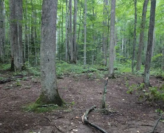 Backcountry Camp 21