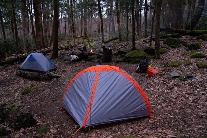 Backcountry Campsite #34 1