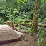 Backcountry Campsite #34