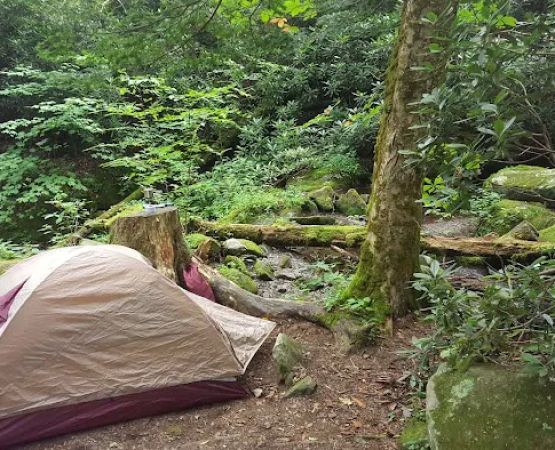 Backcountry Campsite #34