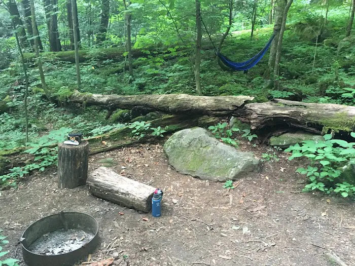 Backcountry Campsite #34 5