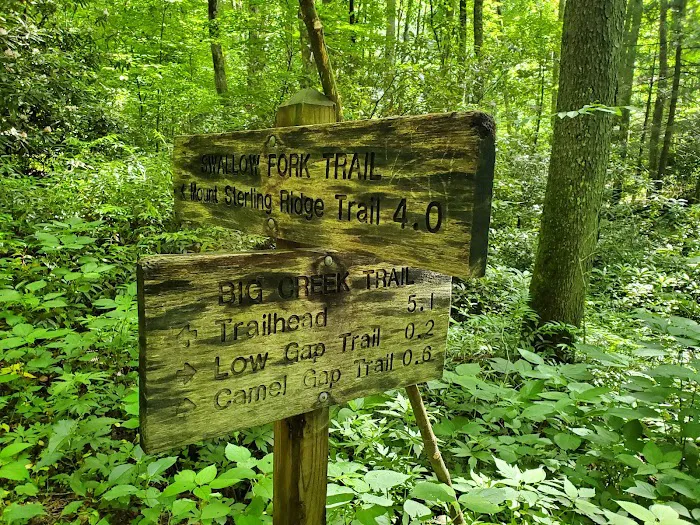 Lower Walnut Bottom Campsite 37 8